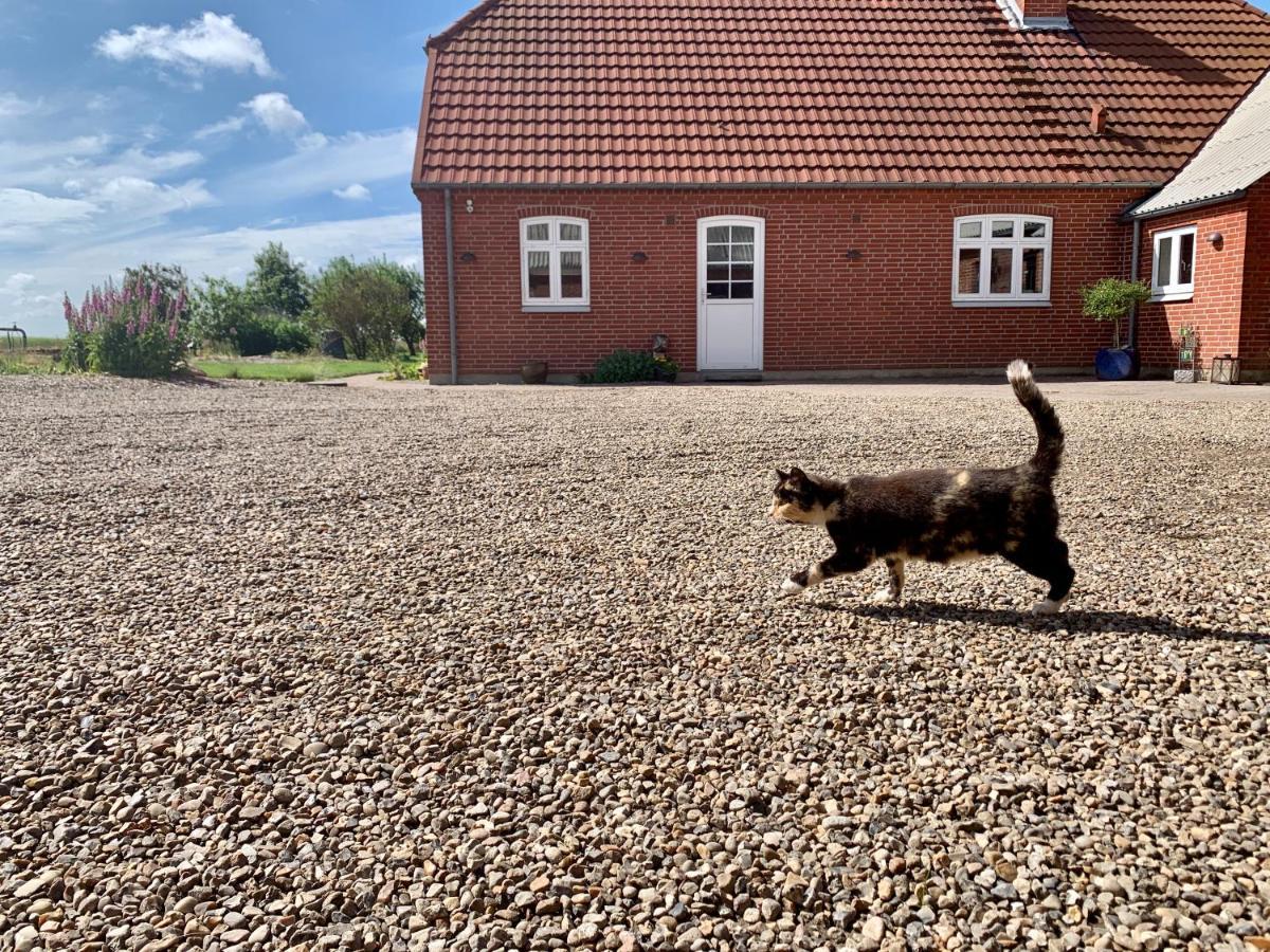 Hennebjerg Overnatning Stavso Exterior foto